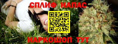 соль ск Обь