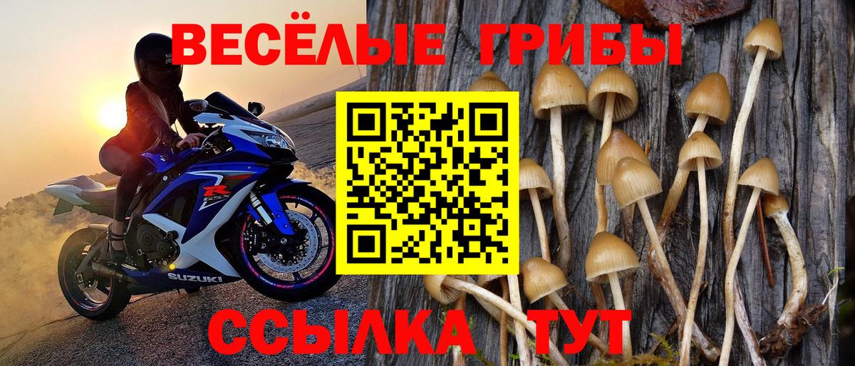 Барнаул  Галлюциногенные грибы Psilocybe  Галлюциногенные грибы прущие грибы  Вход с VPN 