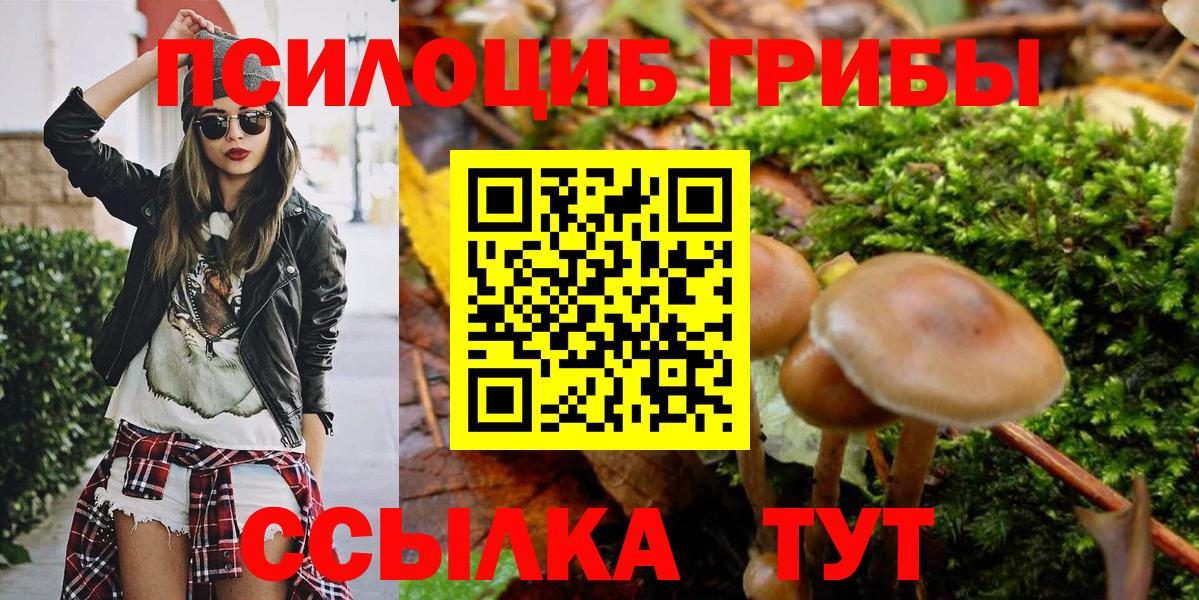 Галлюциногенные грибы Psilocybe Барнаул